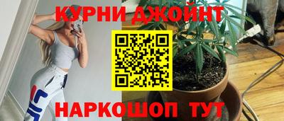 гидра Краснознаменск