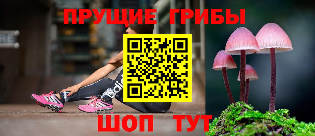 Галлюциногенные грибы ЛСД  Вход с VPN  Псилоцибиновые грибы Magic Shrooms  Каменск-Шахтинский 